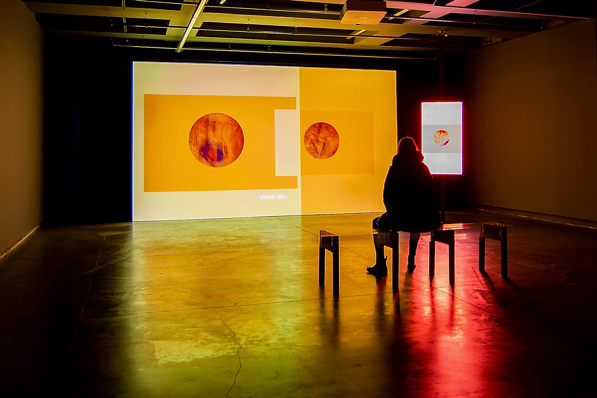 Hakikat ve Kurgu Arasında Kazı, Kuşatma, Arşivleme