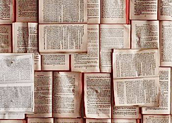 Bookinton ile Narmanlı Sanat Kitap Kulübü Röportajı