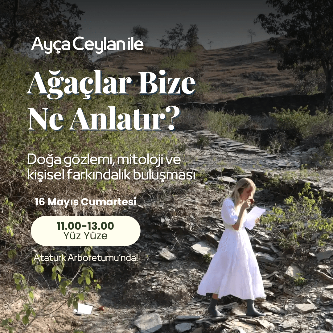 Ayça Ceylan ile Ağaçlar Bize  Ne Anlatır?